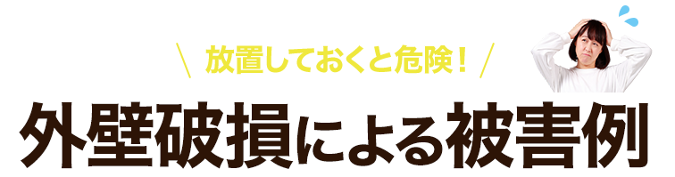 外壁は損による被害の例