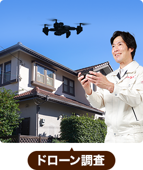 ドローン調査