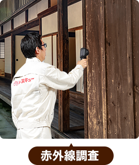 赤外線調査